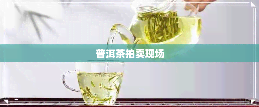 普洱茶拍卖现场