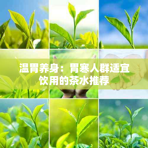 温胃养身：胃寒人群适宜饮用的茶水推荐