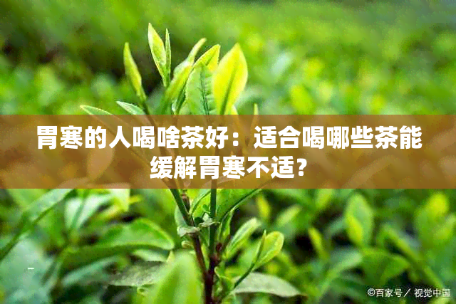 胃寒的人喝啥茶好:适合喝哪些茶能缓解胃寒不适?