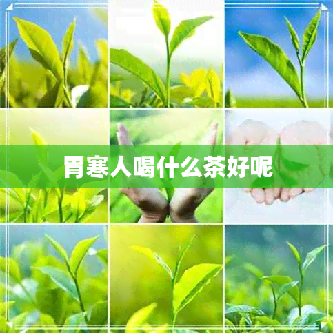胃寒人喝什么茶好呢 胃寒人喝什么茶好呢