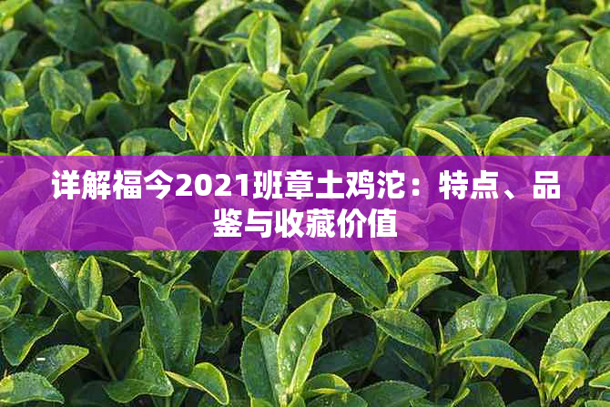 详解福今2021班章土鸡沱：特点、品鉴与收藏价值