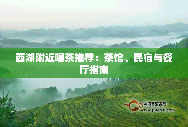 西湖附近喝茶推荐：茶馆、民宿与餐厅指南