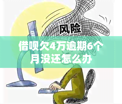 网贷欠4万逾期6个月没还怎么办