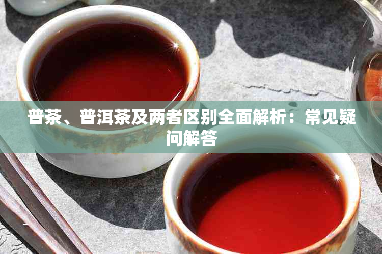 普茶、普洱茶及两者区别全面解析:常见疑问解答