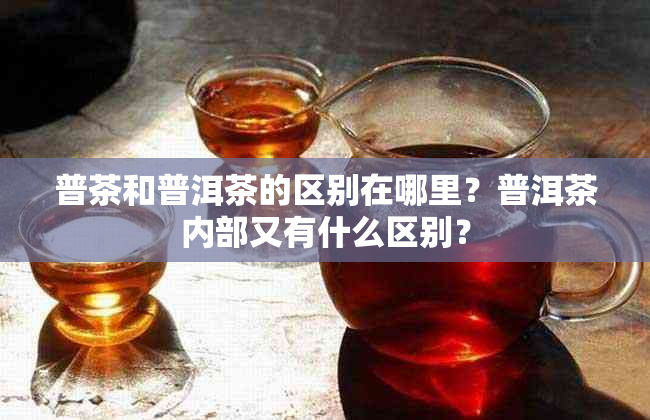 普茶和普洱茶的区别在哪里?普洱茶内部又有什么区别?