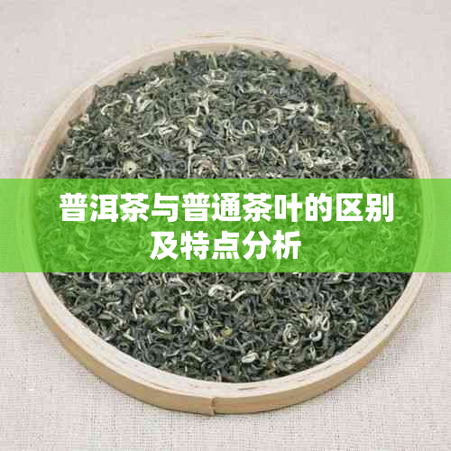 普洱茶与普通茶叶的区别及特点分析