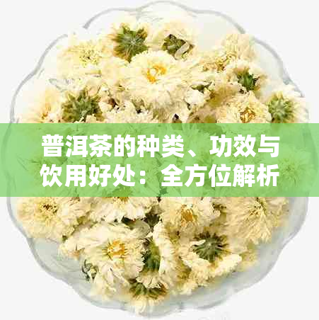 普洱茶的种类、功效与饮用好处:全方位解析普洱茶的健康益处