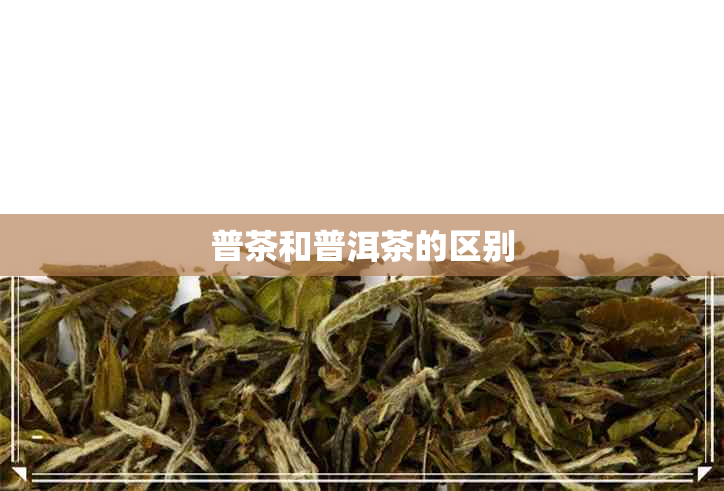 普茶和普洱茶的区别 普茶和普洱茶的区别