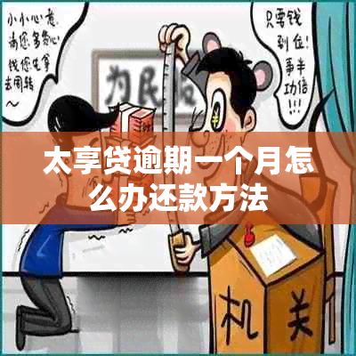 太享贷逾期一个月怎么办还款方法