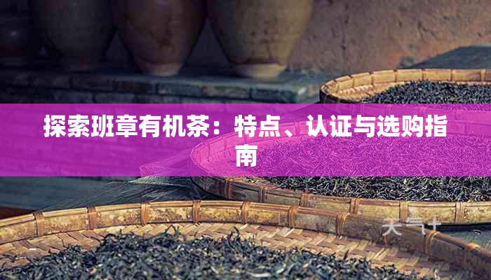 探索班章有机茶：特点、认证与选购指南