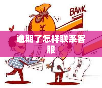 逾期了怎样联系客服