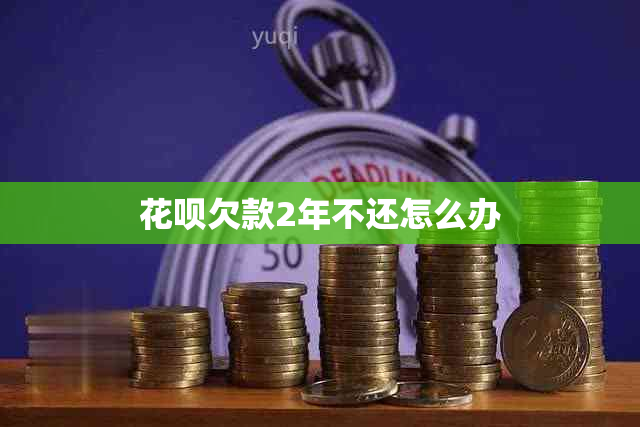 信用卡欠款2年不还怎么办