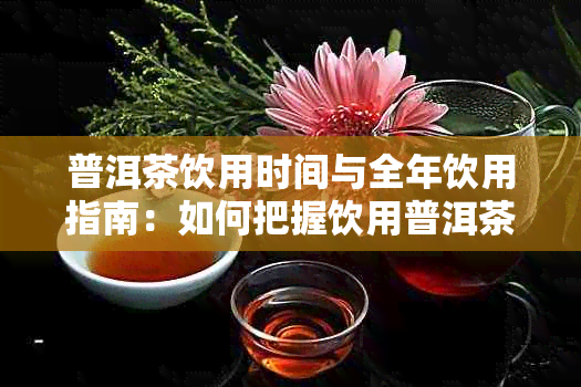 普洱茶饮用时间与全年饮用指南:如何把握饮用普洱茶的适宜季节与时段