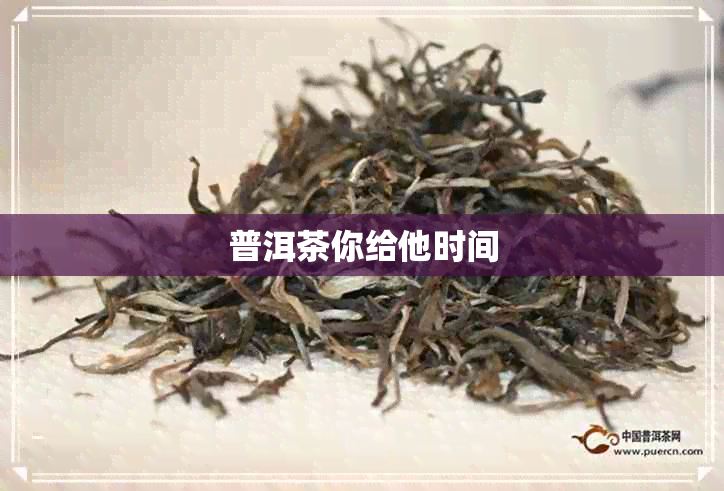 普洱茶你给他时间 普洱茶你给他时间
