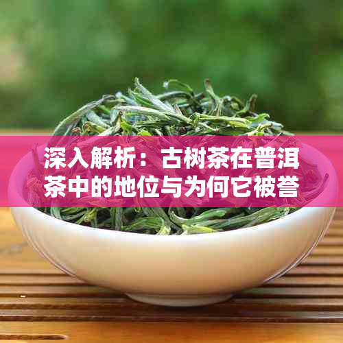深入解析:古树茶在普洱茶中的地位与为何它被誉为茶中珍品