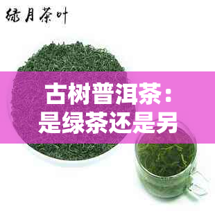 古树普洱茶:是绿茶还是另一种独特茶类?