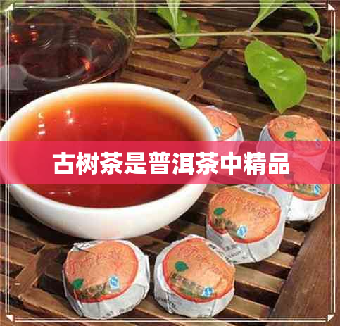 古树茶是普洱茶中精品 古树茶是普洱茶中精品