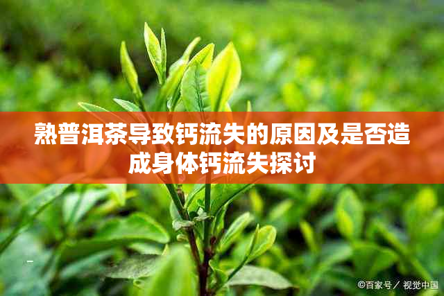 熟普洱茶导致钙流失的原因及是否造成身体钙流失探讨