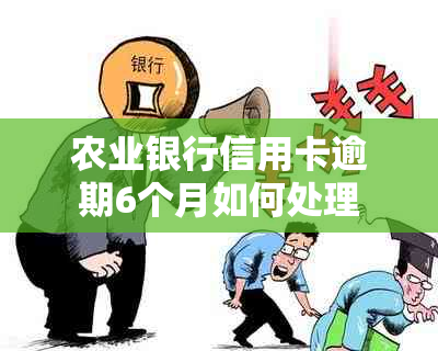 农业银行信用卡逾期6个月如何处理