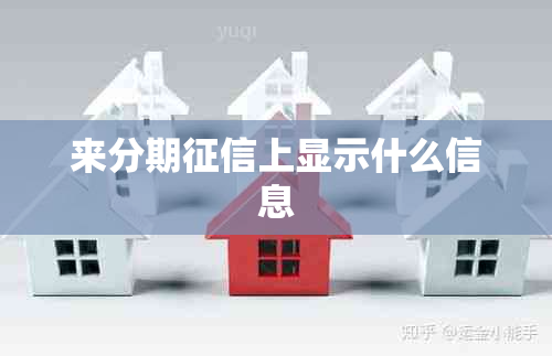 来分期上显示什么信息