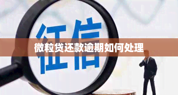 微粒贷还款逾期如何处理