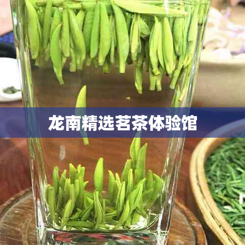 龙南精选茗茶体验馆