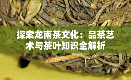 探索龙南茶文化：品茶艺术与茶叶知识全解析