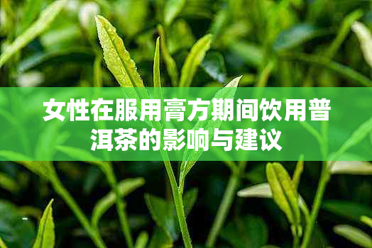 女性在服用膏方期间饮用普洱茶的影响与建议