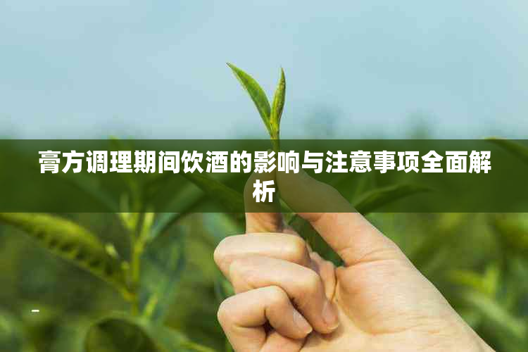 膏方调理期间饮的影响与注意事项全面解析