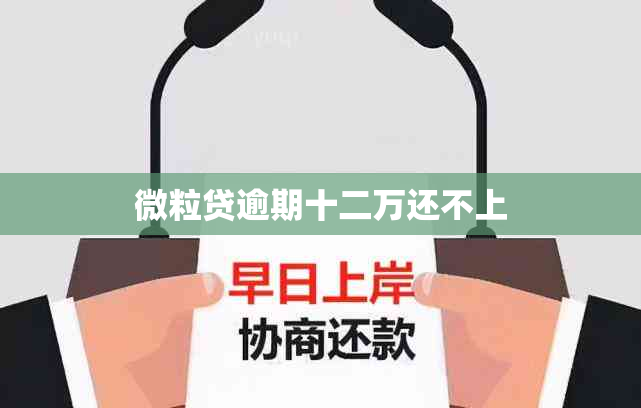 微粒贷逾期十二万还不上