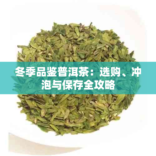 冬季品鉴普洱茶:选购、冲泡与保存全攻略