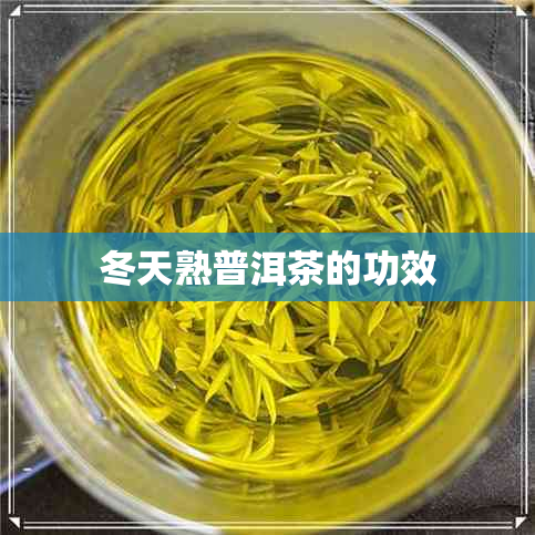 冬天熟普洱茶的功效 冬天熟普洱茶的功效