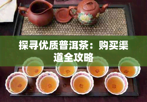 探寻优质普洱茶:购买渠道全攻略