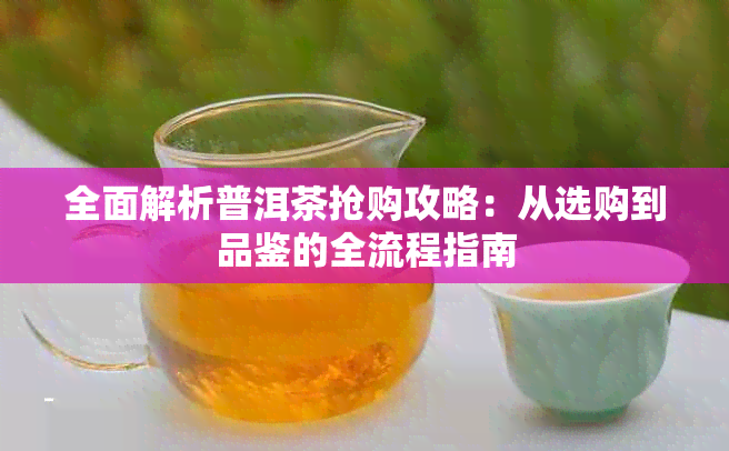全面解析普洱茶抢购攻略:从选购到品鉴的全流程指南