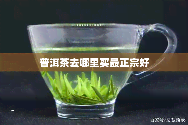 普洱茶去哪里买最正宗好