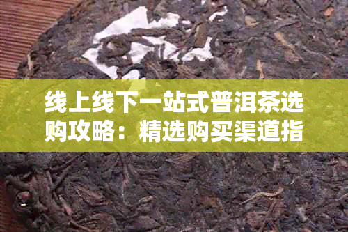 线上线下一站式普洱茶选购攻略：精选购买渠道指南