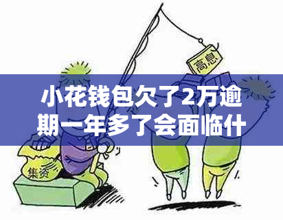 小花钱包欠了2万逾期一年多了会面临什么后果
