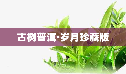 古树普洱·岁月珍藏版