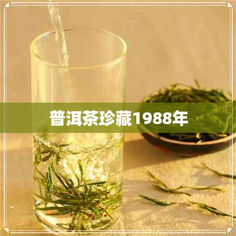 普洱茶珍藏1988年 普洱茶珍藏1988年