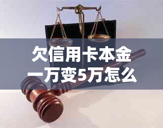 欠信用卡本金一万变5万怎么办