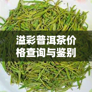 溢彩普洱茶价格查询与鉴别方法