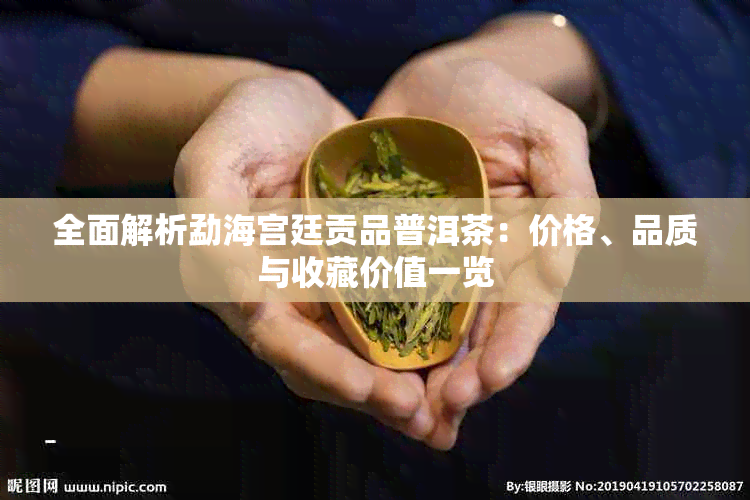 全面解析勐海宫廷贡品普洱茶：价格、品质与收藏价值一览