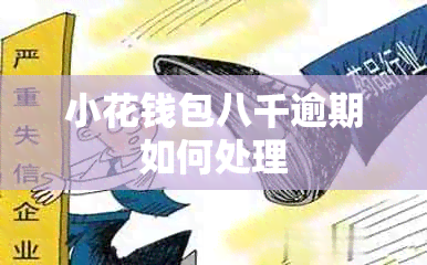 小花钱包八千逾期如何处理