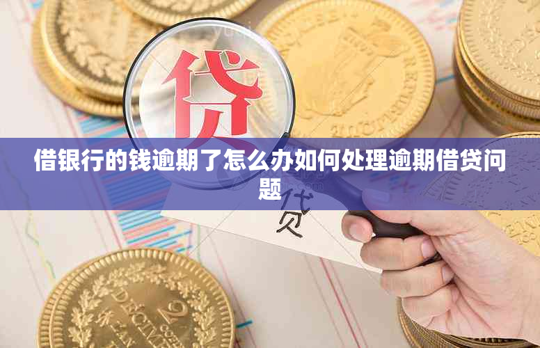 借银行的钱逾期了怎么办如何处理逾期借贷问题