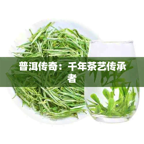 普洱传奇：千年茶艺传承者