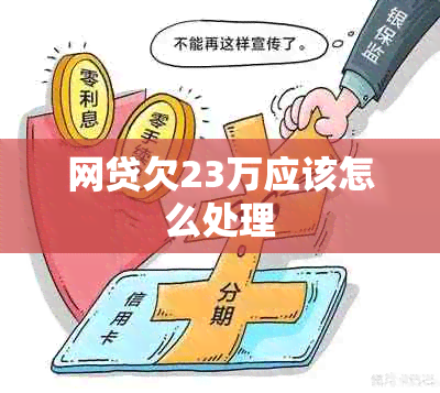 网贷欠23万应该怎么处理