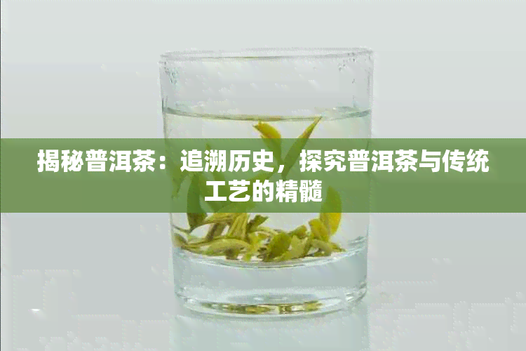 揭秘普洱茶：追溯历史，探究普洱茶与传统工艺的精髓
