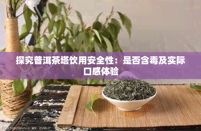 探究普洱茶塔饮用安全性:是否含及实际口感体验