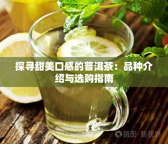 探寻甜美口感的普洱茶:品种介绍与选购指南
