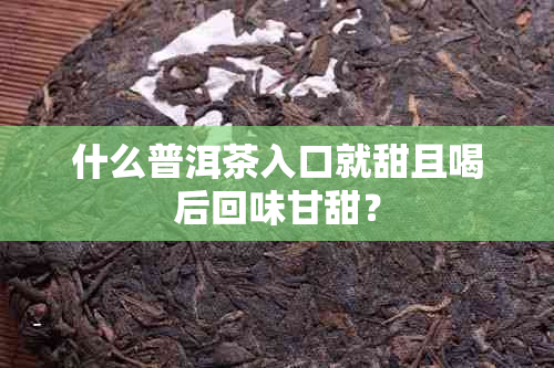 什么普洱茶入口就甜且喝后回味甘甜?